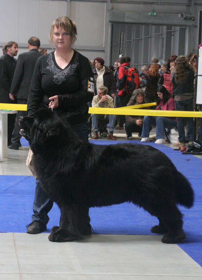 G-CH Fabricius od Trojské skály